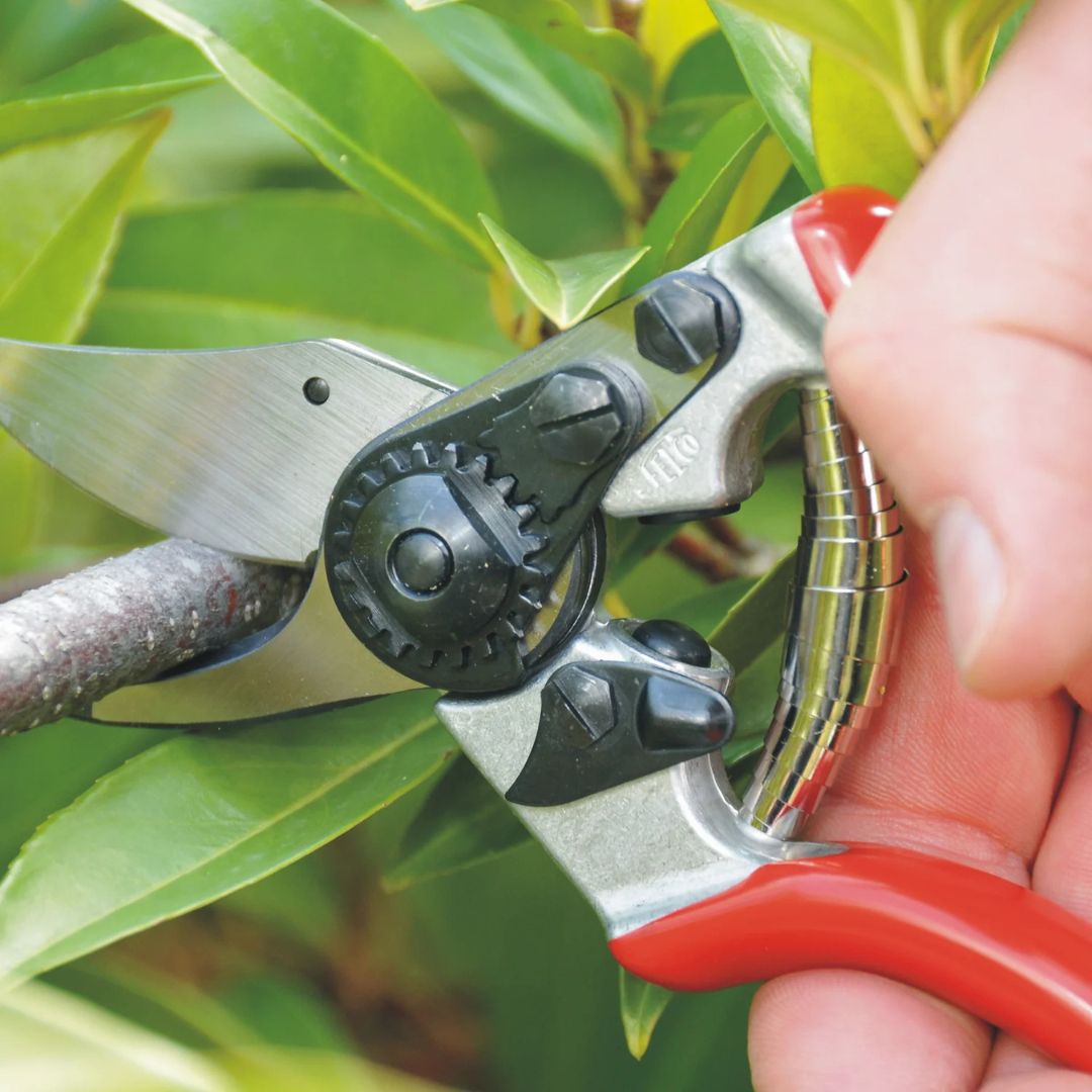 Felco F6 Pruner For Small Hands – Felco – 7.7″